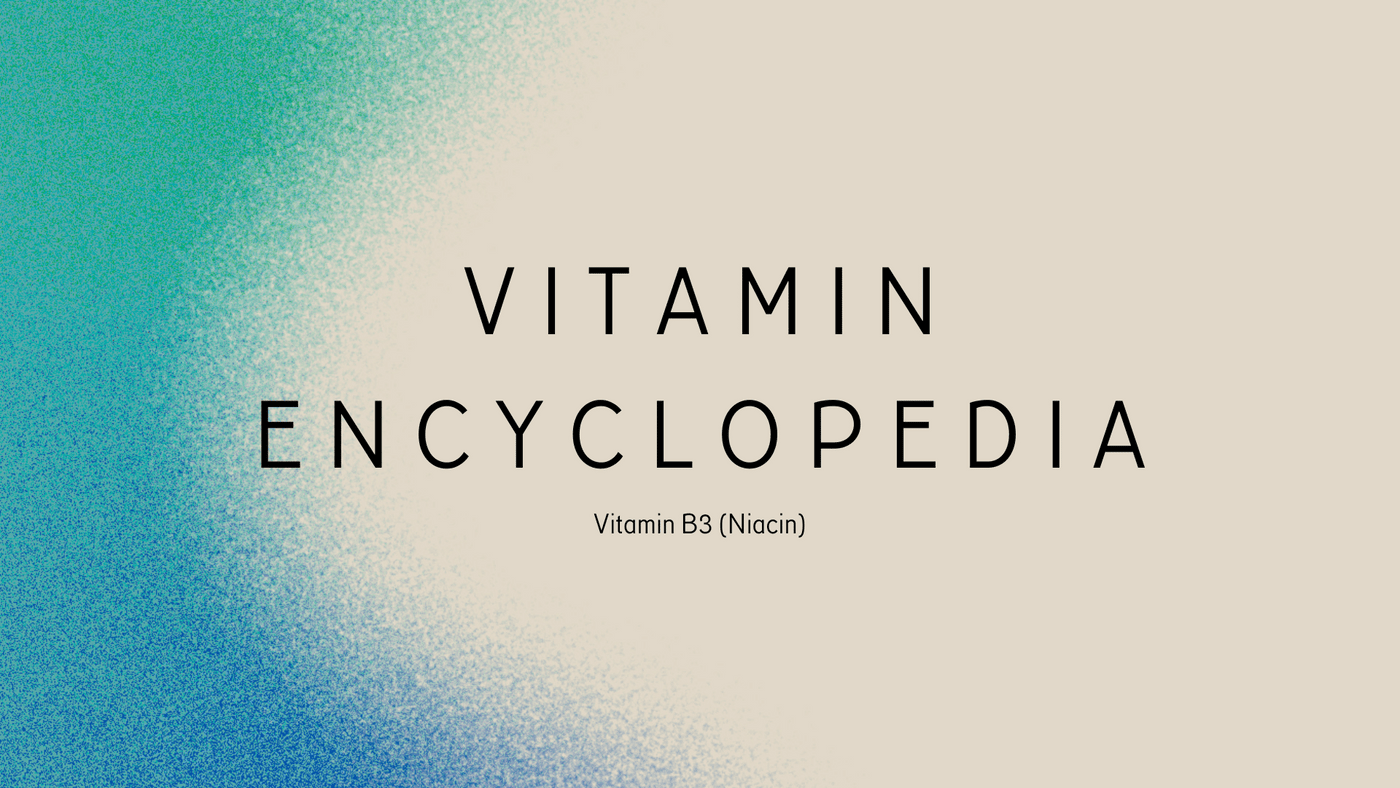 Vitamin Encyclopedia cover featuring Vitamin B3 (Niacin) title, with a gradient background blending blue and green into beige.