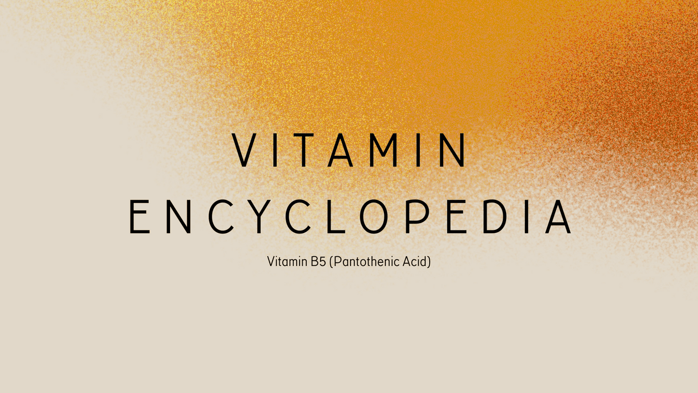 Vitamin Encyclopedia cover featuring Vitamin B5 (Pantothenic Acid) title, with a gradient background blending orange and beige.