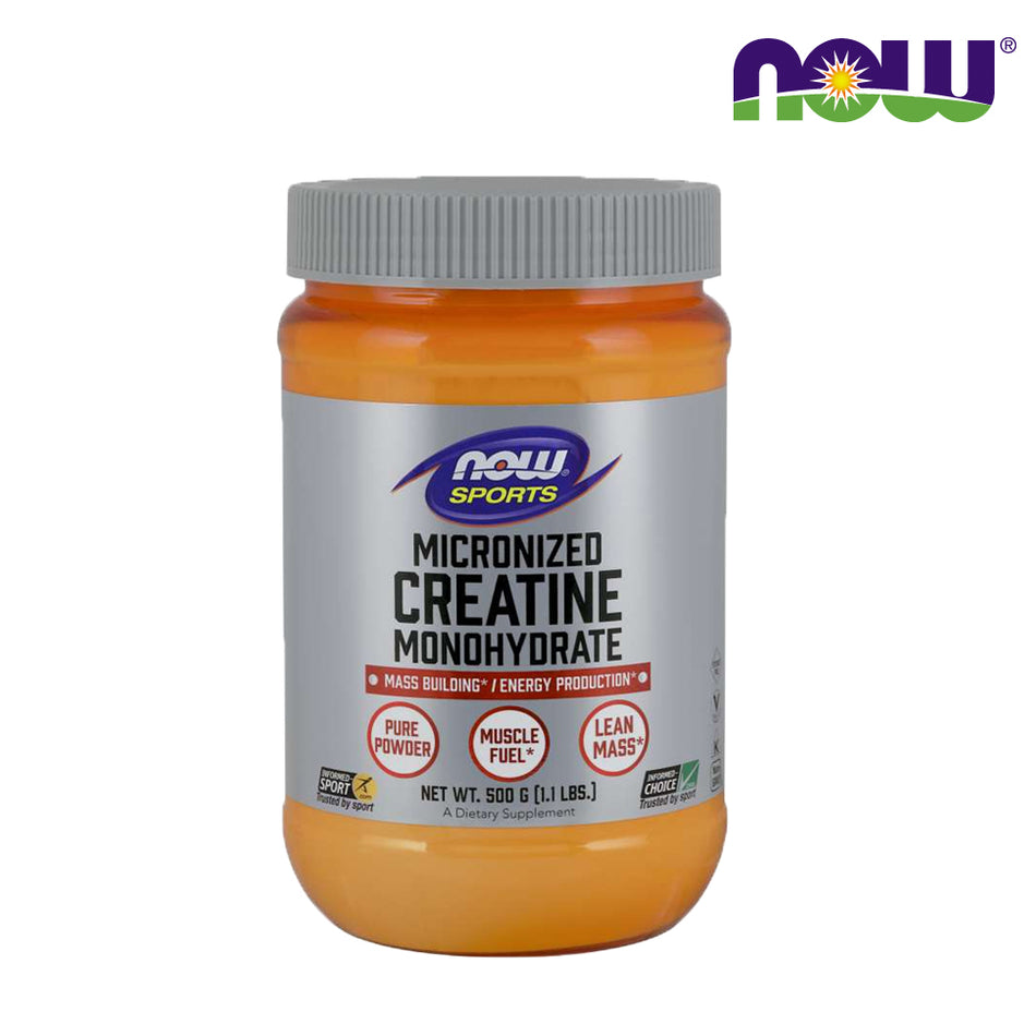 NOW FOOD Creatine Monohydrate Micronized Powder 500g